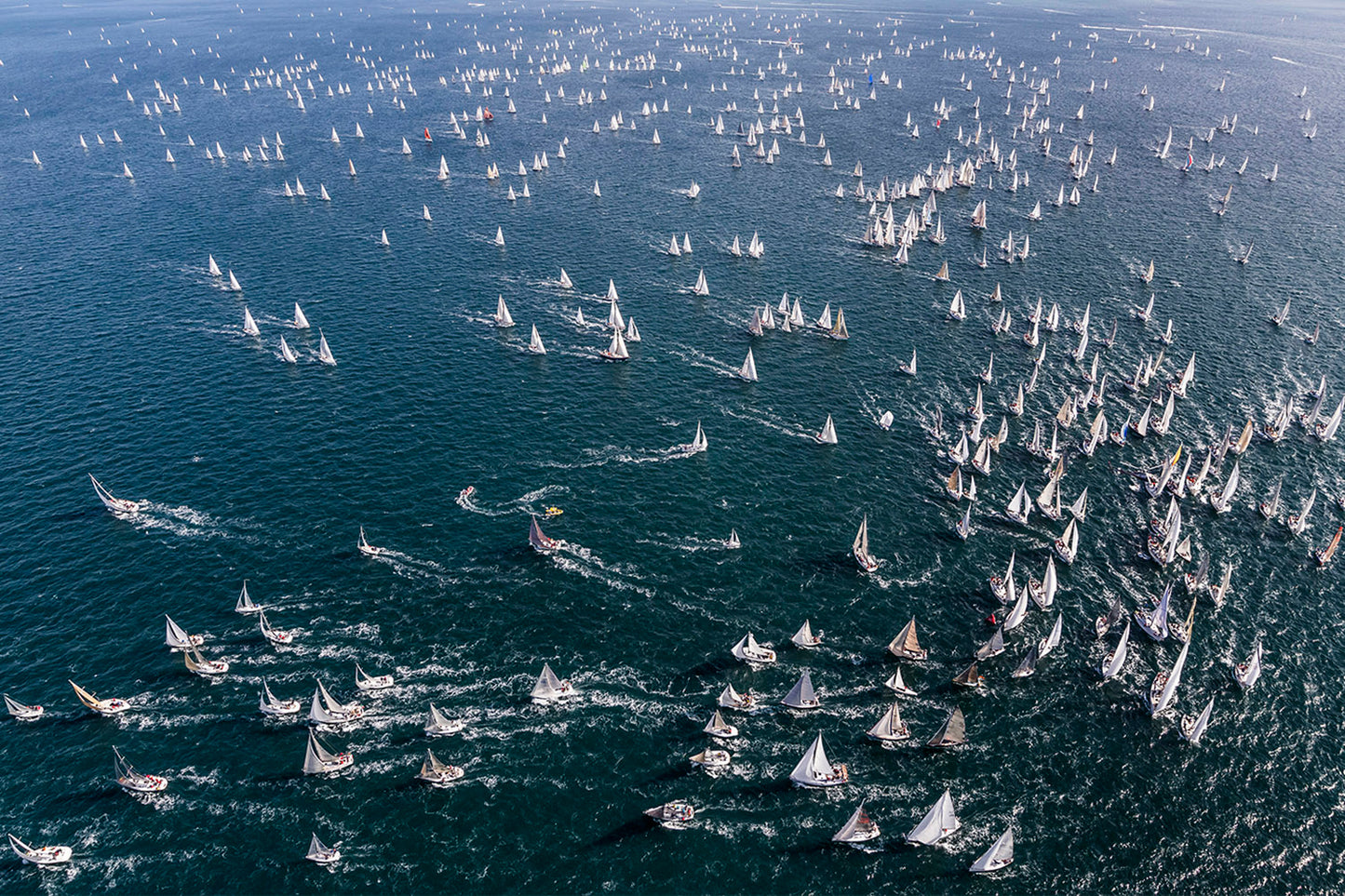 Fleet Barcolana